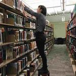 Librarian Designs Her Degree For The Ultimate Dream Job